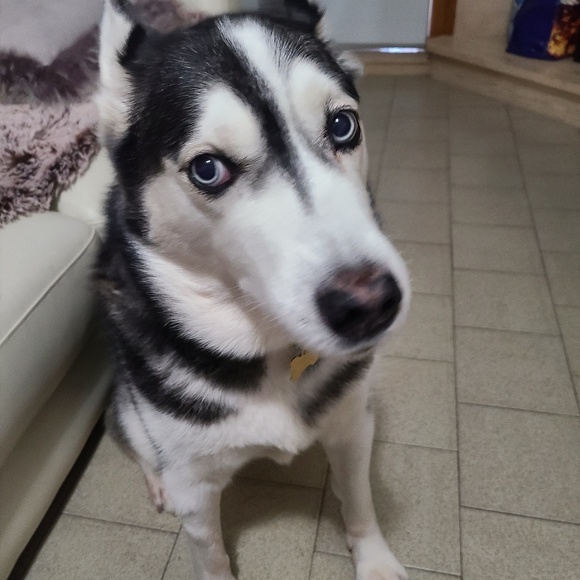 Meet your Posher, Diksha - Picture 1 of 1